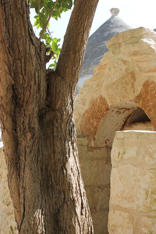 Masseria Gianecchia Cisternino Dış mekan fotoğraf