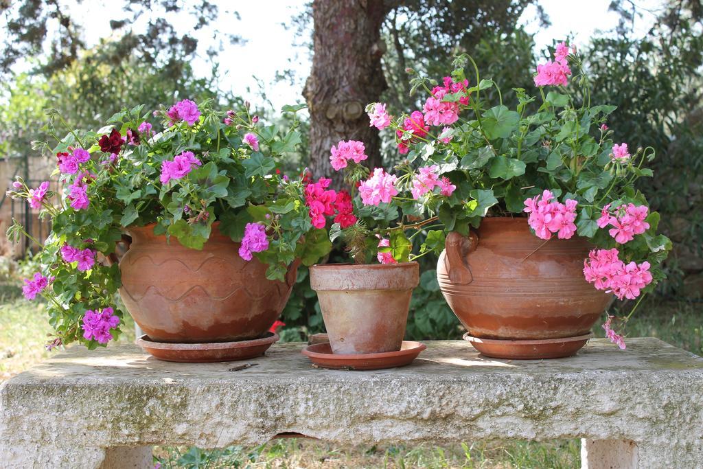 Masseria Gianecchia Cisternino Dış mekan fotoğraf
