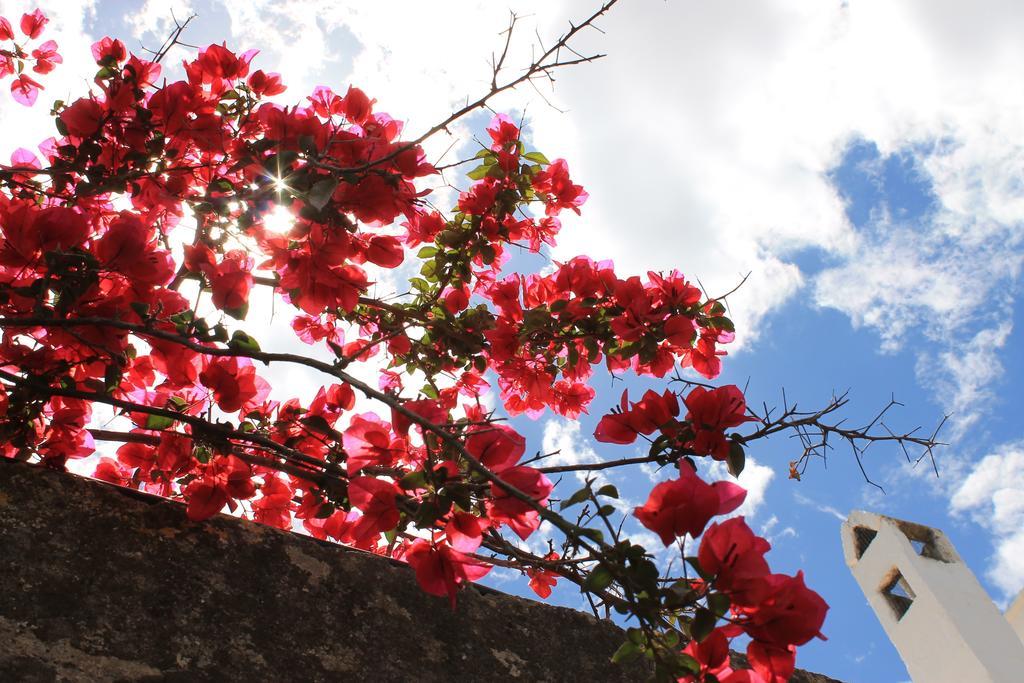 Masseria Gianecchia Cisternino Dış mekan fotoğraf